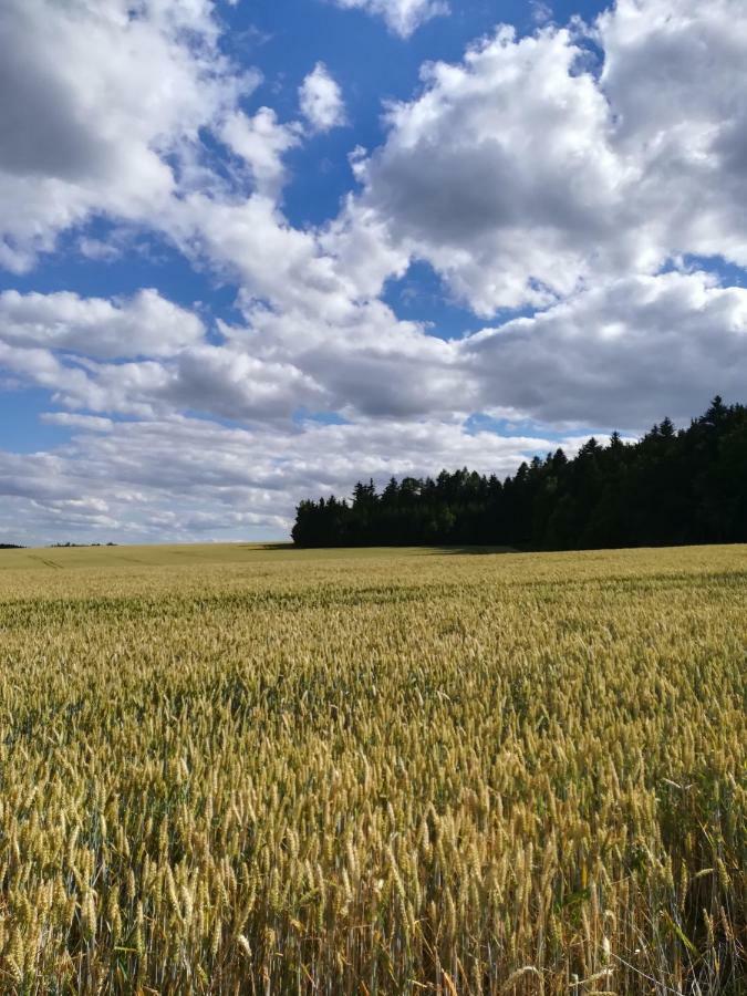 U Lesa - Nova Ves * Cesky Rudolec